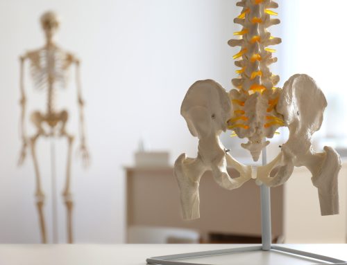 What Bones Take the Longest to Heal—And Why?