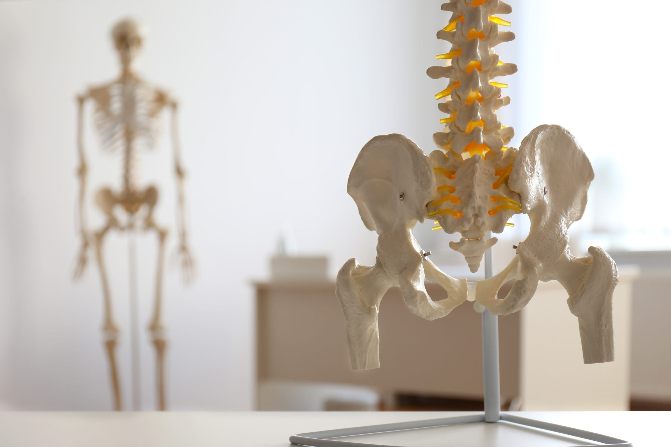 What Bones Take the Longest to Heal—And Why?